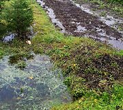 Niekieno sklypas užtvindė kaimą ir demaskavo biurokratų bejėgystę