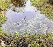 Niekieno sklypas užtvindė kaimą ir demaskavo biurokratų bejėgystę