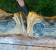 Bridų sodyboje rasta karo laikų pinigų