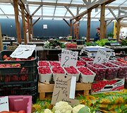 Uogų kainos Karolini&scaron;kių turgelyje