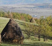Rumunijos grožis