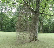Raudondvaryje baigėsi žemės meno festivalis &bdquo;Land Art&ldquo;