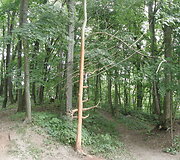 Raudondvaryje baigėsi žemės meno festivalis &bdquo;Land Art&ldquo;