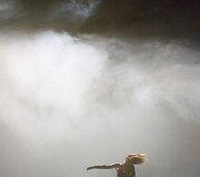 Kaune vyks &scaron;okio festivalis &bdquo;Aura&ldquo; 