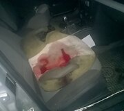 Magistralėje Kaunas &ndash; Klaipėda susidūrė autobusas ir &bdquo;Opel Vectra&ldquo;