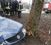 Kauno rajone į medį rėžėsi &bdquo;VW Passat&ldquo;