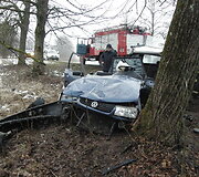 Kauno rajone į medį rėžėsi &bdquo;VW Passat&ldquo;