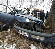Kauno rajone į medį rėžėsi &bdquo;VW Passat&ldquo;