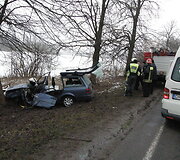 Kauno rajone į medį rėžėsi &bdquo;VW Passat&ldquo;