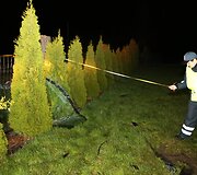 Avarija Cipariuose