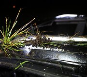 Jaunuolio sukelta avarija &Scaron;ilutės rajone