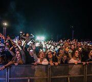 &Scaron;iaulių dienos 782 