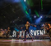 &Scaron;iaulių dienos 782 