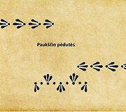 Margučių ra&scaron;tų prasmės