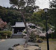 N.Kairio patirtys Japonijoje