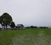 N.Kairio patirtys Japonijoje
