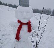 Sniego lipdinys