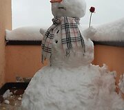 Sniego lipdinys