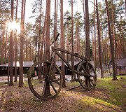 Jurga ir Mindaugas Vidugiriai savo veiklose