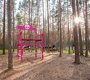 Jurga ir Mindaugas Vidugiriai savo veiklose