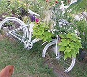 Birutės Buožienės kiemas