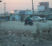 Nepalas