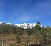 Norvegija