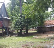Au&scaron;ra Larbey stato mokyklas Kambodžoje