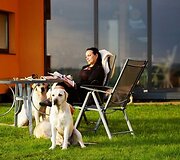 Daiva Grigonienė ir labradorai