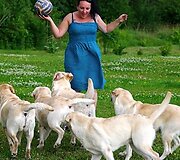Daiva Grigonienė ir labradorai