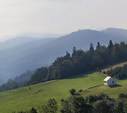 Namas Lenkijoje, Krokuvoje 