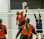 Lietuvos moterų tinklinio pirmenybių pusfinalis.