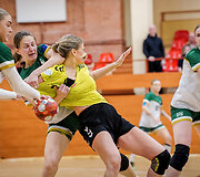 Panevėžio &bdquo;Kova&ldquo; pusfinalyje įveikė Kauno &bdquo;Žalgirį&ldquo;.