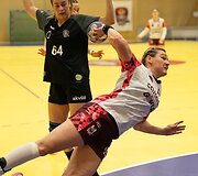 &bdquo;Cascada-HC Garliava SC&ldquo; pusfinalio serijoje 2:1 įveikė reguliariojo sezono nugalėtoją Vilniaus &bdquo;Eglę&ldquo;.