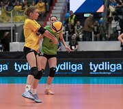 Lietuvos moterų tinklinio rinktinė nusileido &Scaron;vedijai.