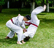 I&scaron;skirtiniai WON HWA DO kadrai