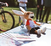 Vilniuje vyks pasaulio orientavimosi sporto kalnų dviračiais čempionatas.