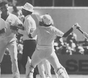Pakistano ir Australijos kriketininkų konfliktas, 1981 m.