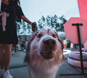 &Scaron;ventės akimirka