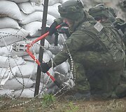 Įpusėjo tarptautinės pratybos &bdquo;Geležinis vilkas 2017&ldquo;