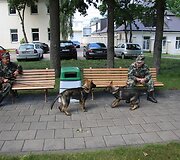 Pasieniečių tarnybinių &scaron;unų būryje &ndash; du jauni vokiečių aviganiai Luna ir Lordas bei olandų aviganiai Hana ir Herkus