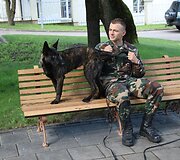 Pasieniečių tarnybinių &scaron;unų būryje &ndash; du jauni vokiečių aviganiai Luna ir Lordas bei olandų aviganiai Hana ir Herkus