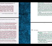 Monografijos &bdquo;Tarptautinio verslo vadybos principų taikymo ypatybės Vidurio ir Rytų Europos &scaron;alyse&ldquo; ir užsienio autorių darbų sutaptys