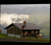 &Scaron;veicarijos Alpės