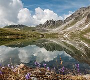 &Scaron;veicarijos Alpės