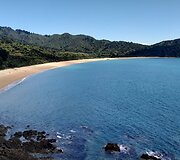 Auksinis Abel Tasmano paplūdimys