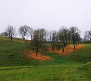 Kristinos su kolegomis praėjusį rudenį tvarkyti medžiai Kernavėje