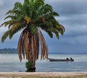 Algirdo kelionė per Afriką dviračiu