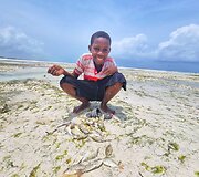 Algirdo kelionė per Afriką dviračiu