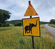 Algirdo kelionė per Afriką dviračiu